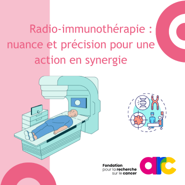 Image Radio-immunothérapie : nuance et précision pour une action en synergie